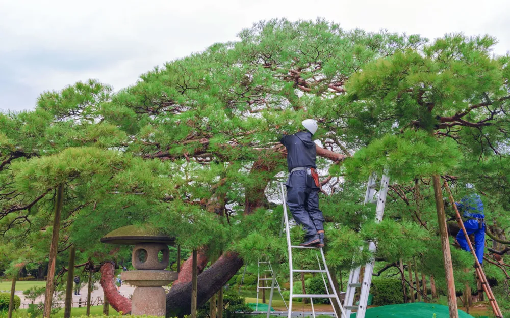 徳島の庭師、造園会社を徹底検証！おすすめの業者とは？