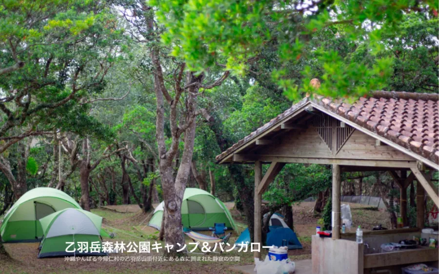 乙羽岳森林公園キャンプ＆バンガロー公式HPより